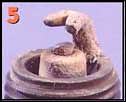 svicka5