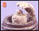 svicka8