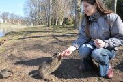 Effi toho jména Udatná
