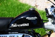 Rahier Skymini 125