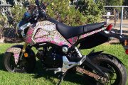 grom_leopard_rose1