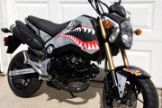grom_shark