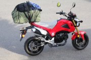 grom_tourist