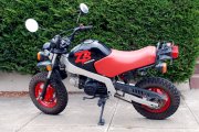 Honda ZB50